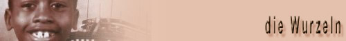 die Wurzeln...