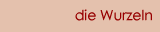 die Wurzeln
